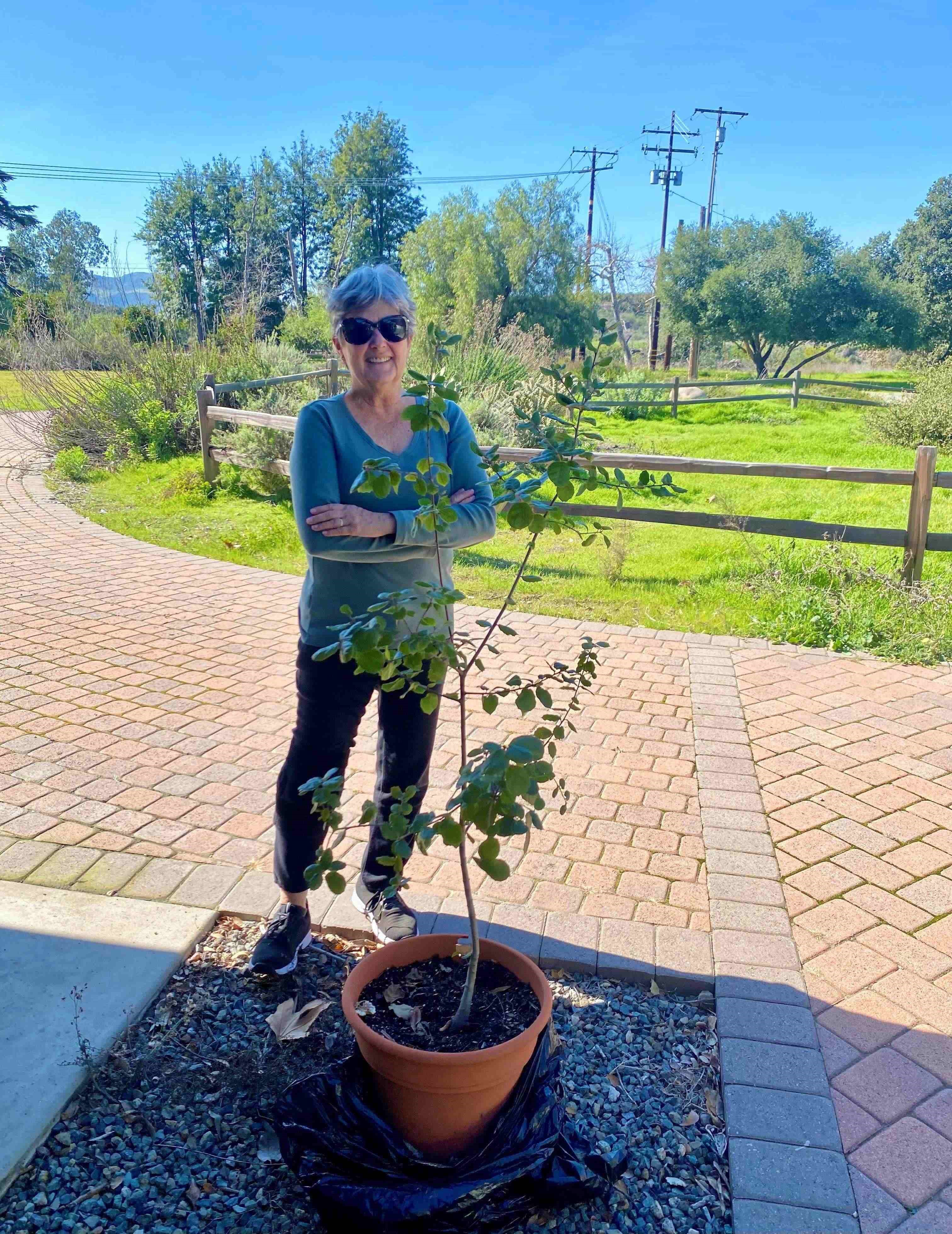 Nature Reserve Volunteer, Marsha, and the oak tree sapling.