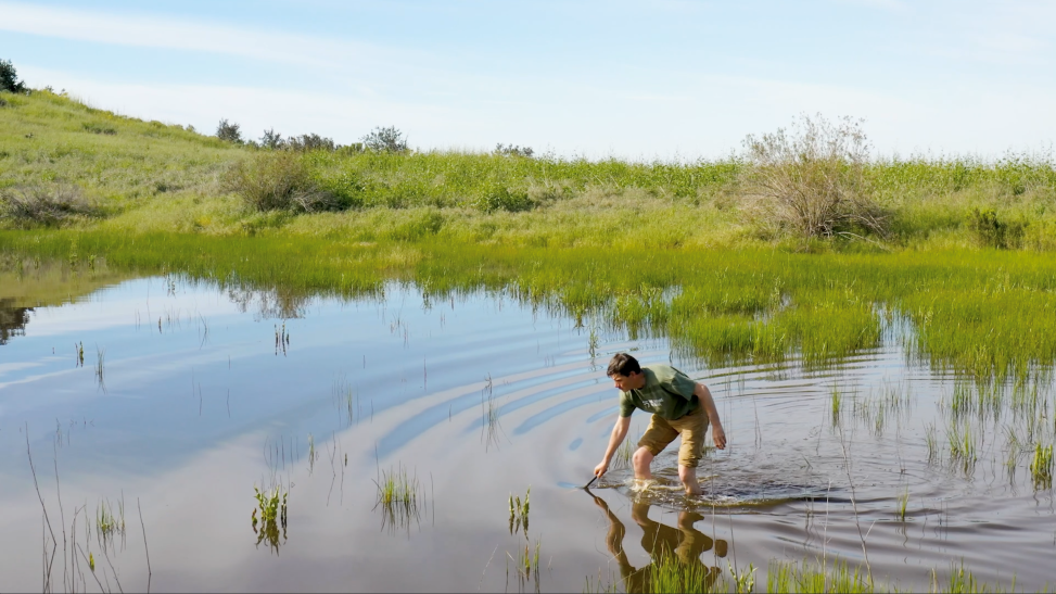 Vernal Pool monitoring