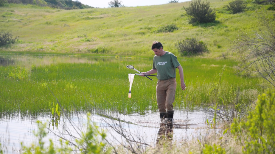 Vernal Pool monitoring